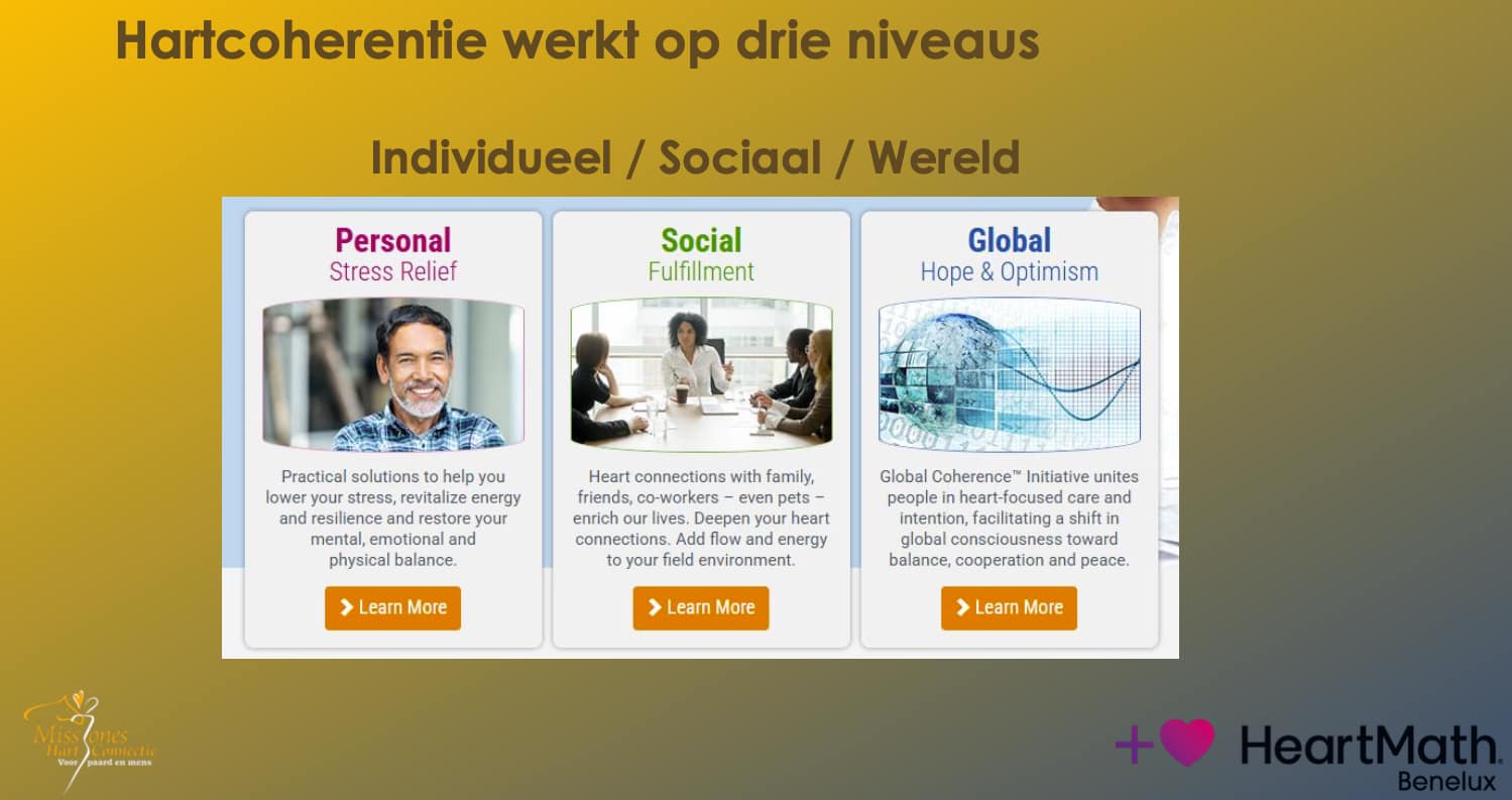 corporate event attendees using HeartMath biofeedback technology to practice heart coherence.
